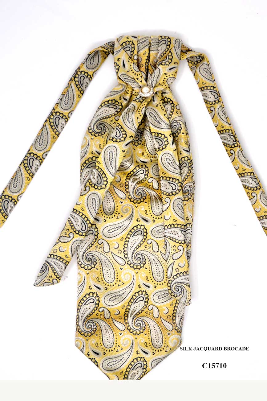 Paisley Ties Paisley Ties