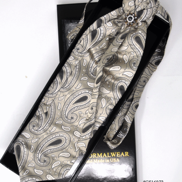 Paisley Ties