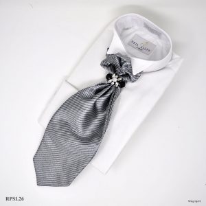 Silver Men's Ties